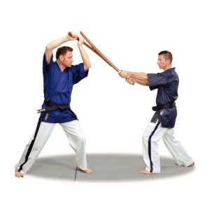 budo-gi-yoseikan-budo