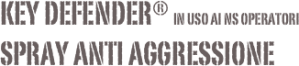 shapeimage_2
